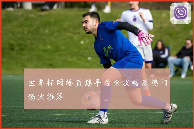 世界杯网络直播平台全攻略及热门场次推荐