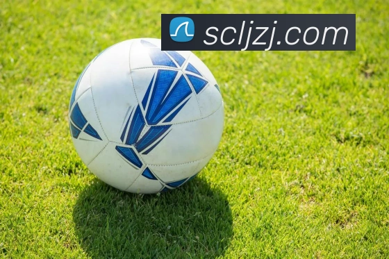 mksports登录入口全站App
